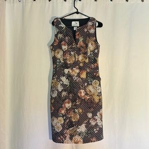 Size 8 Brown Floral Dress